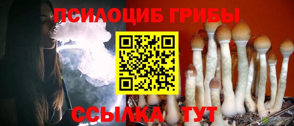 сколько стоит  Галлюциногенные грибы Psilocybine cubensis  Псилоцибиновые грибы Psilocybine cubensis  Вход с VPN  Новокуйбышевск 